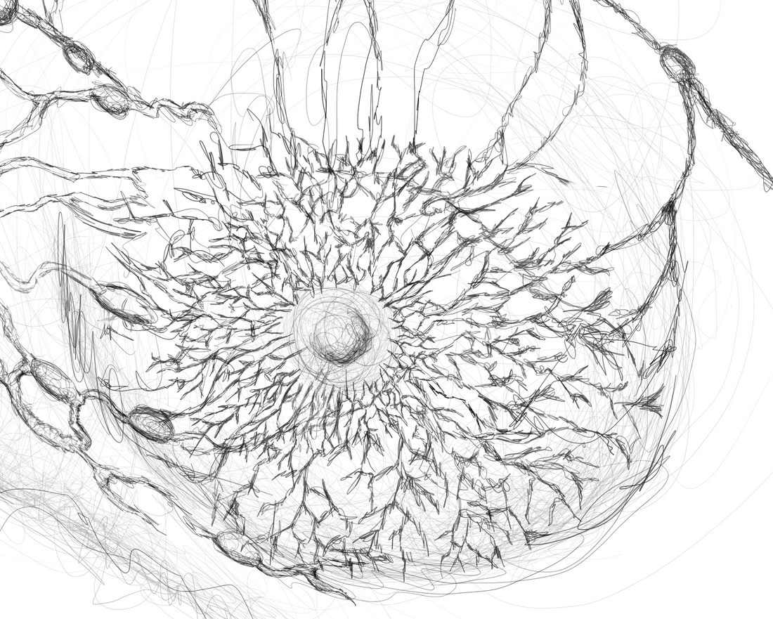 TOP 11 BREAST LYMPHATIC FACTS